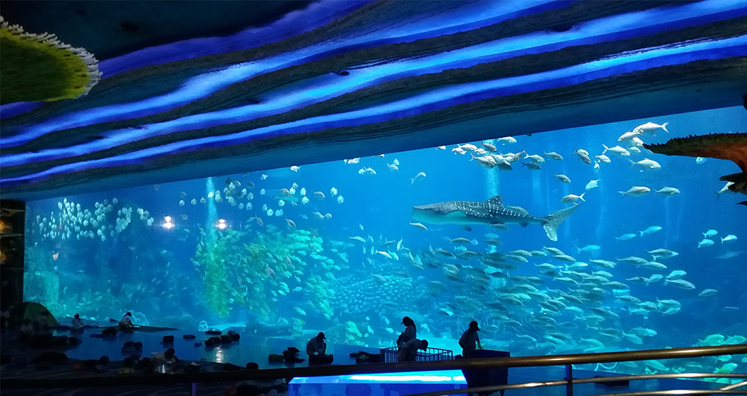 夜宿海洋馆