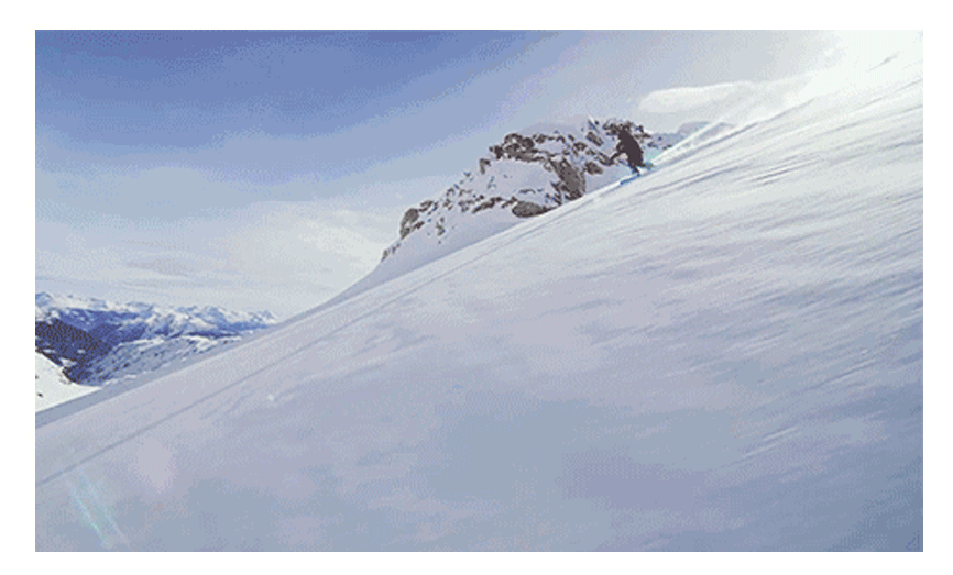 微信图片_20191106094456_08.gif