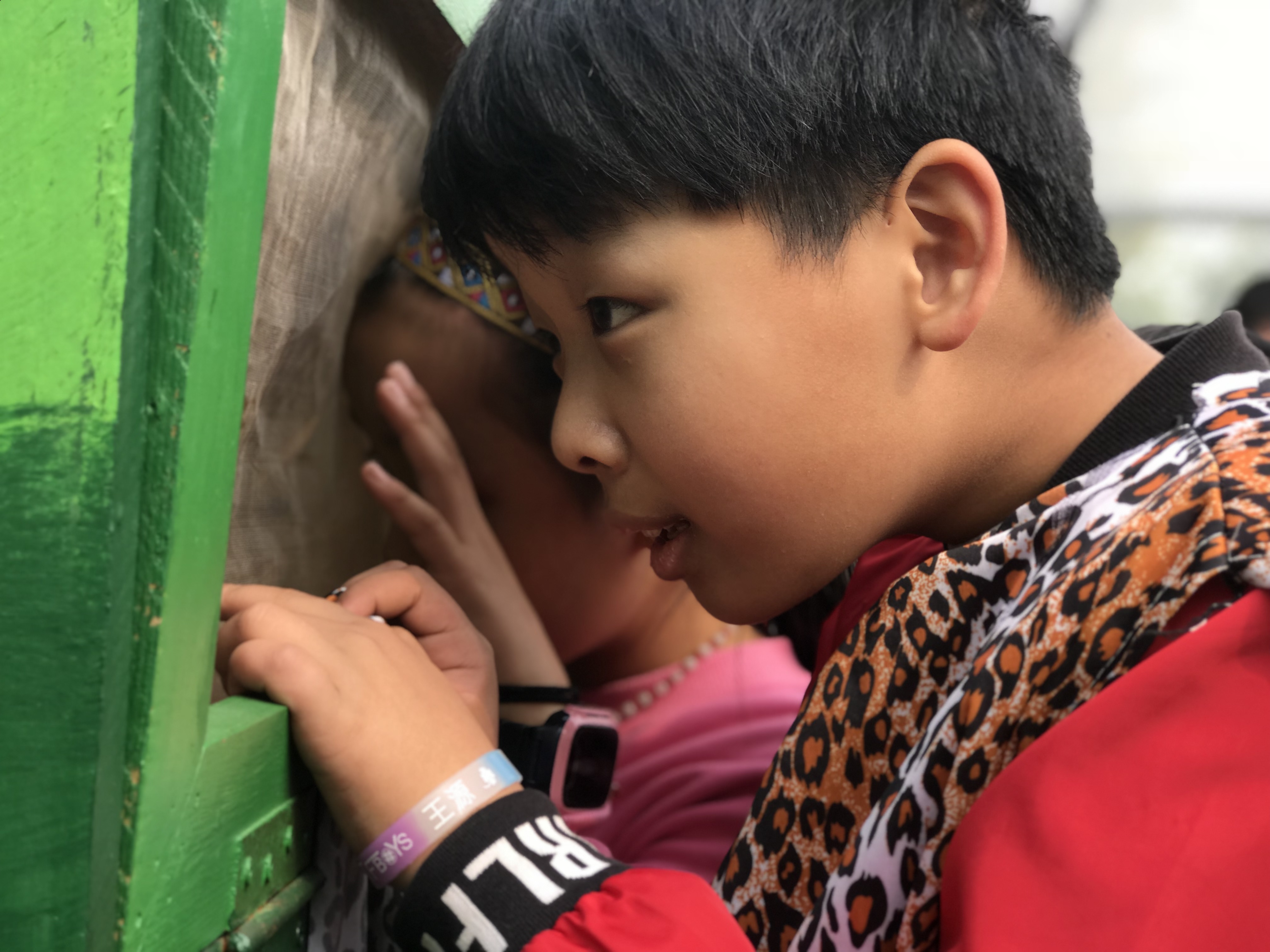 夏令营对于孩子意味着什么？我们怎样让孩子在这种教育中成长呢？